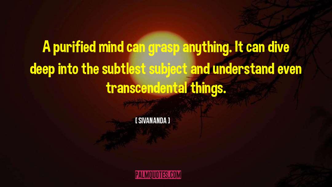 Attractive Things quotes by Sivananda