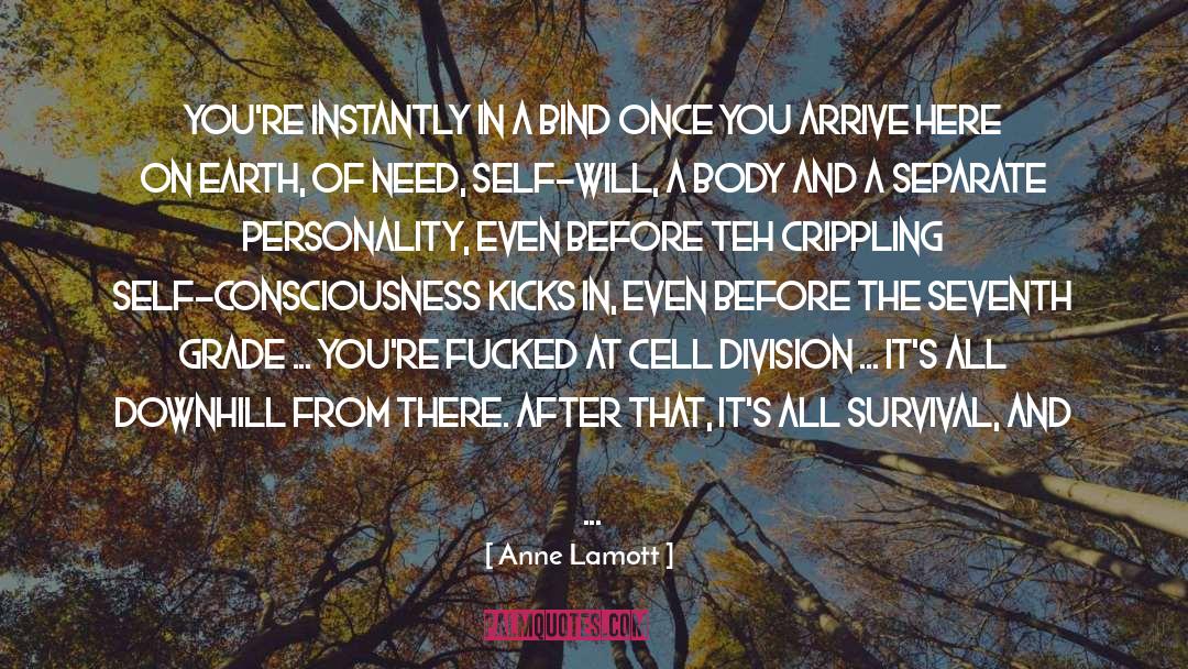 Attractive Things quotes by Anne Lamott
