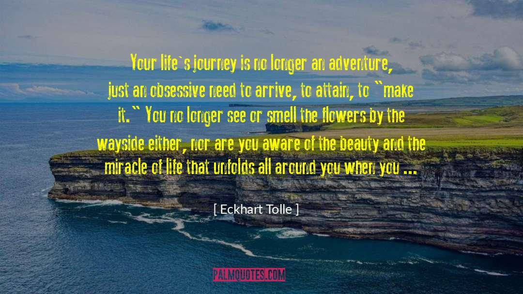 Attracts All The Beauty quotes by Eckhart Tolle
