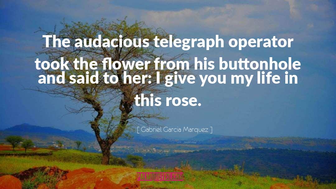 Audacious quotes by Gabriel Garcia Marquez