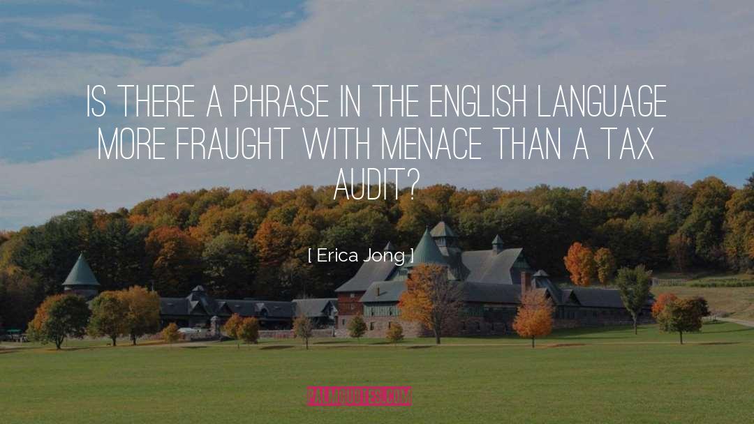 Audit quotes by Erica Jong