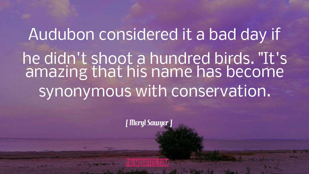 Audubon quotes by Meryl Sawyer