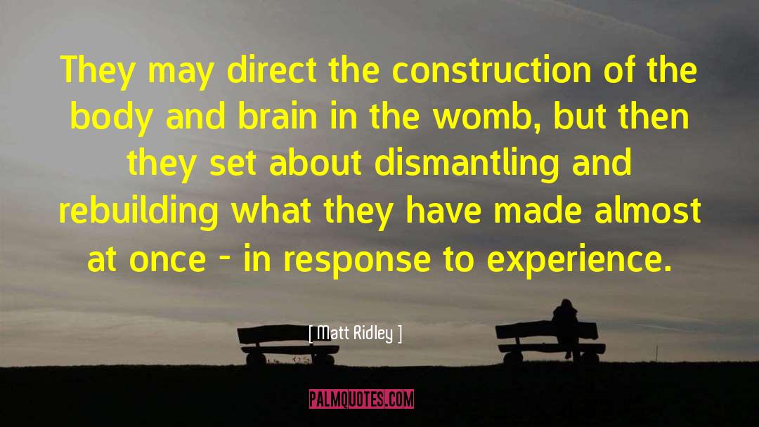 Aufderheide Construction quotes by Matt Ridley