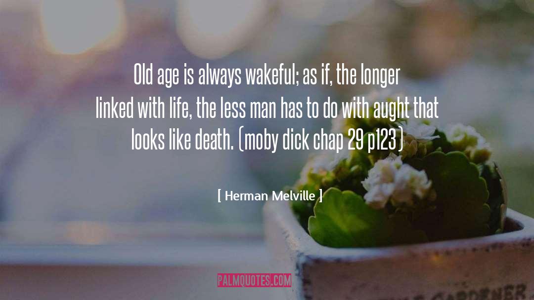 Aught 6 quotes by Herman Melville