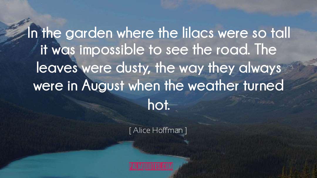 August quotes by Alice Hoffman