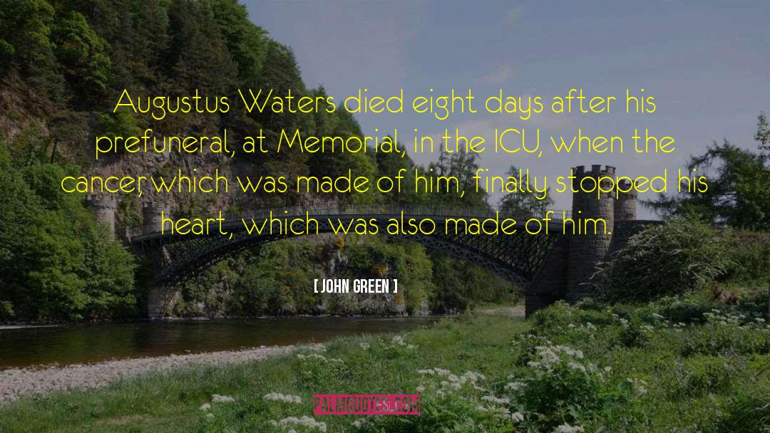 Augustus Troy quotes by John Green