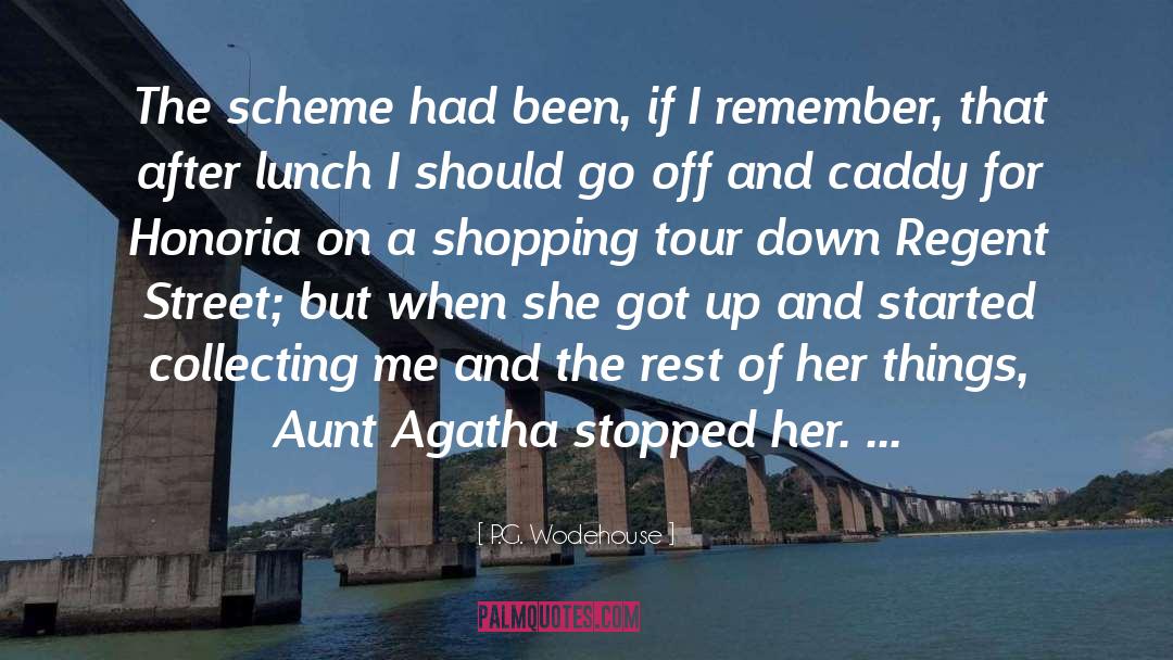 Aunt Agatha quotes by P.G. Wodehouse
