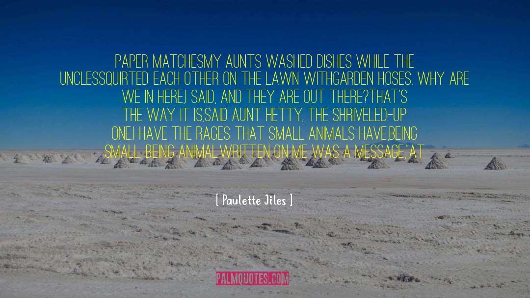 Aunt Hetty On Matrimony quotes by Paulette Jiles