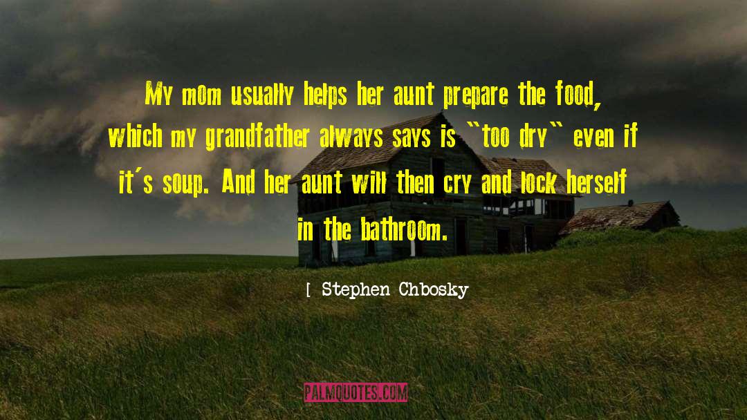Aunt Robbie quotes by Stephen Chbosky