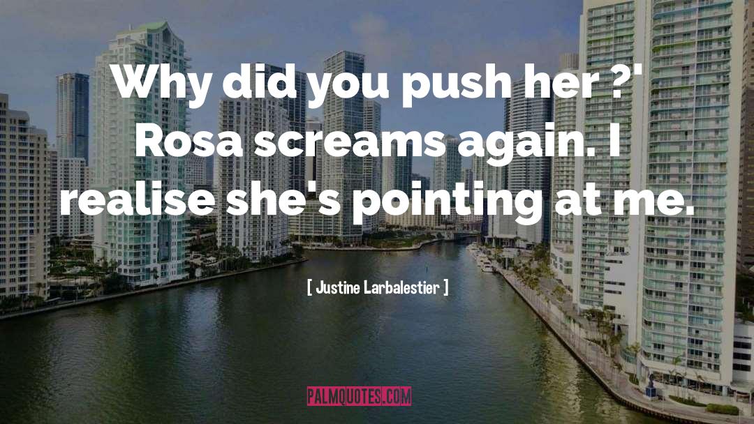 Aunt Rosa quotes by Justine Larbalestier