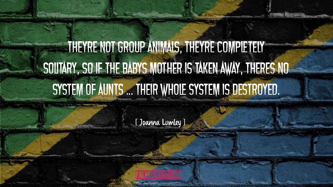 Aunts quotes by Joanna Lumley