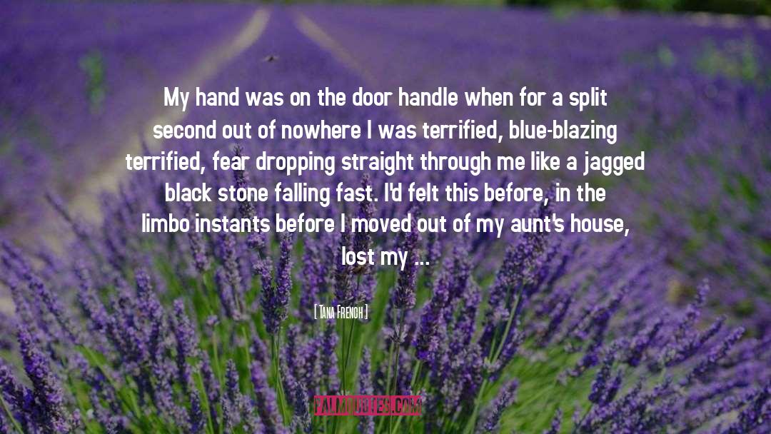 Aunts quotes by Tana French