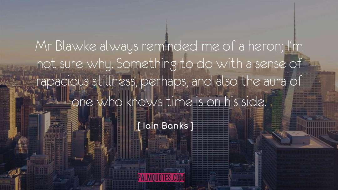 Aura quotes by Iain Banks