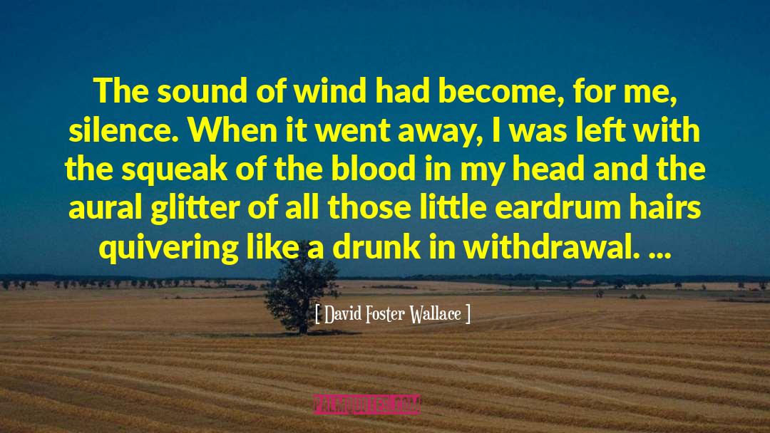 Aural quotes by David Foster Wallace