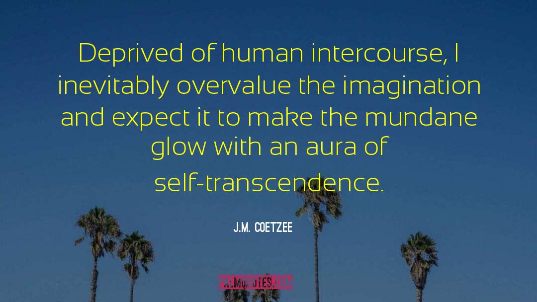 Auras quotes by J.M. Coetzee