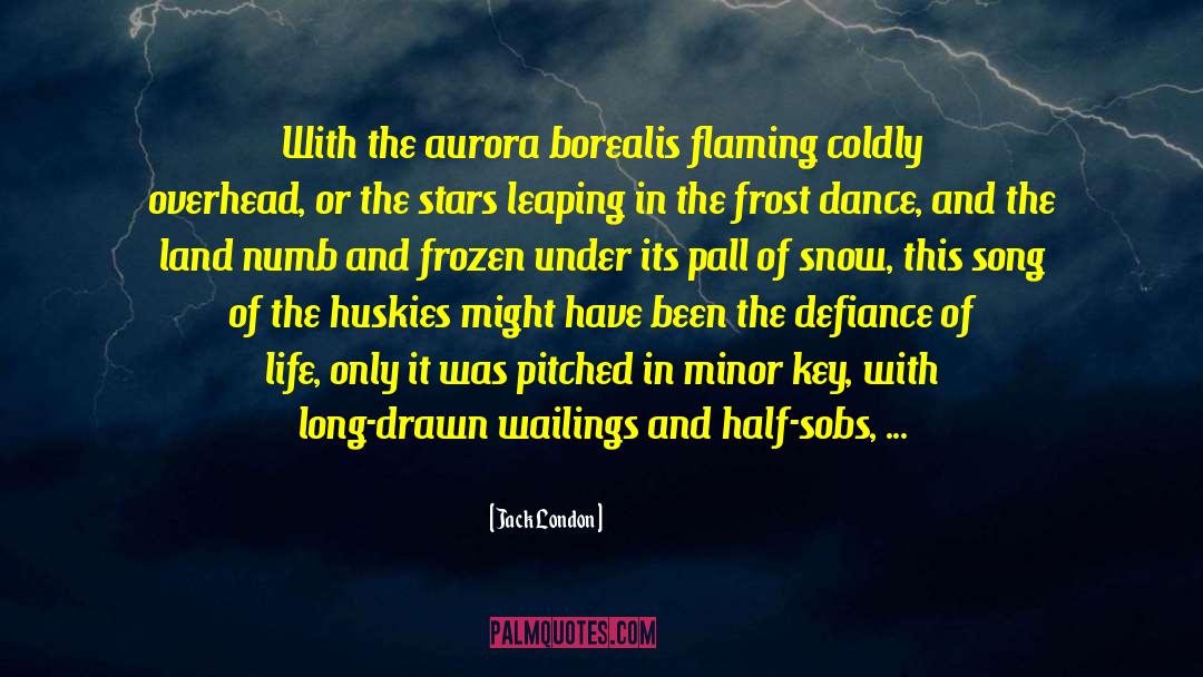 Aurora Borealis quotes by Jack London