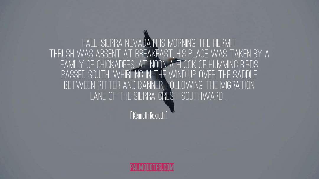 Aurora Borealis quotes by Kenneth Rexroth