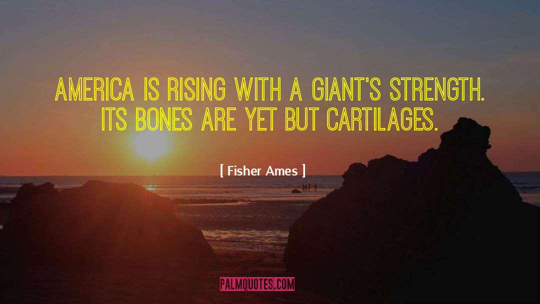 Aurora Rising quotes by Fisher Ames