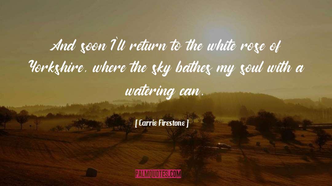 Aurora Rose Reynolds quotes by Carrie Firestone