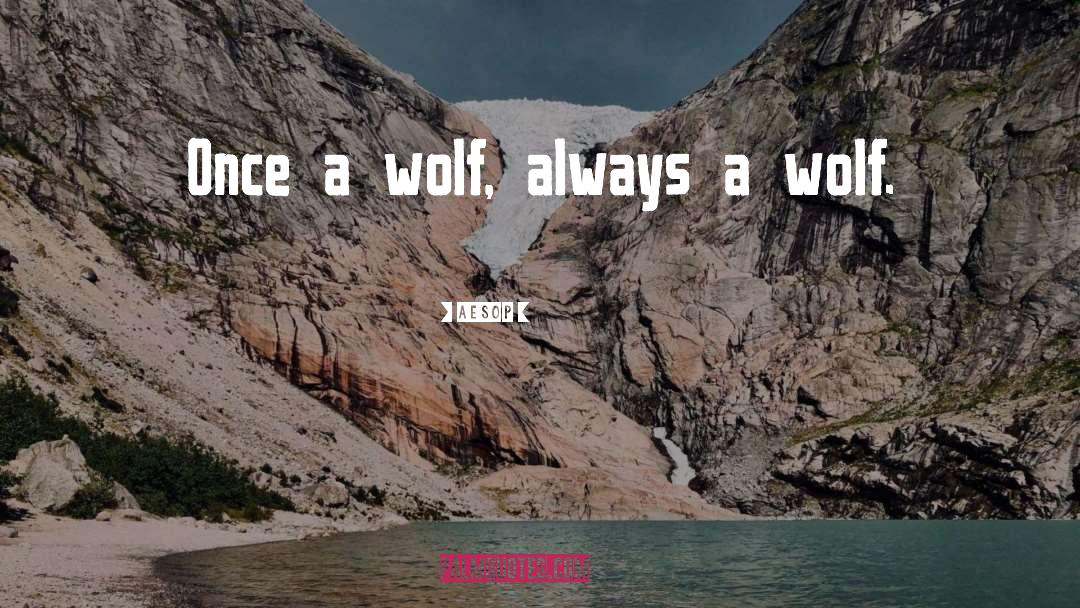 Aurora Wolf quotes by Aesop