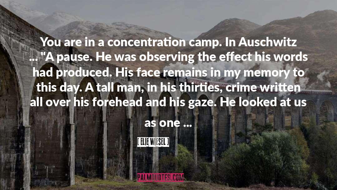 Auschwitz Concentration Camp quotes by Elie Wiesel