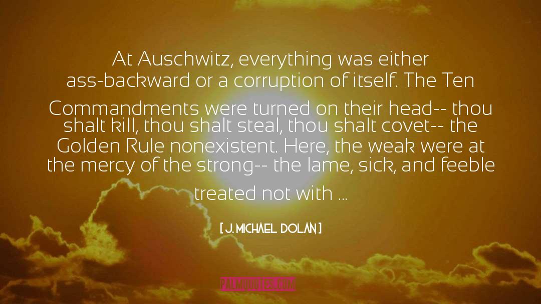 Auschwitz quotes by J. Michael  Dolan