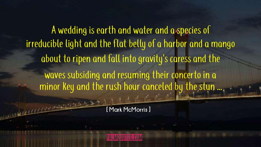 Auspicious quotes by Mark McMorris