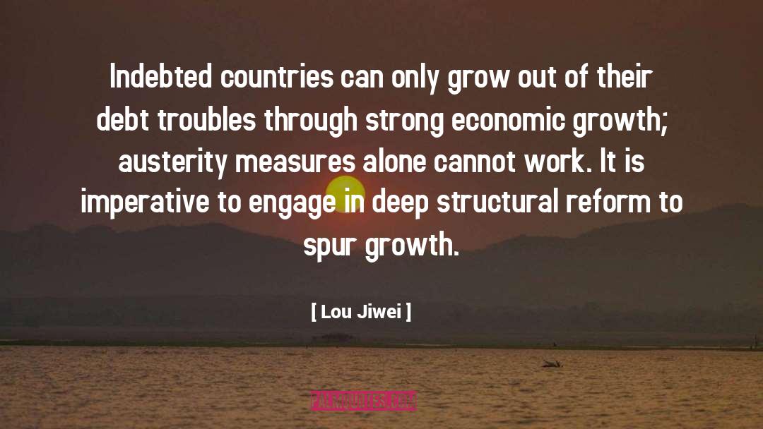 Austerity Cabernet quotes by Lou Jiwei