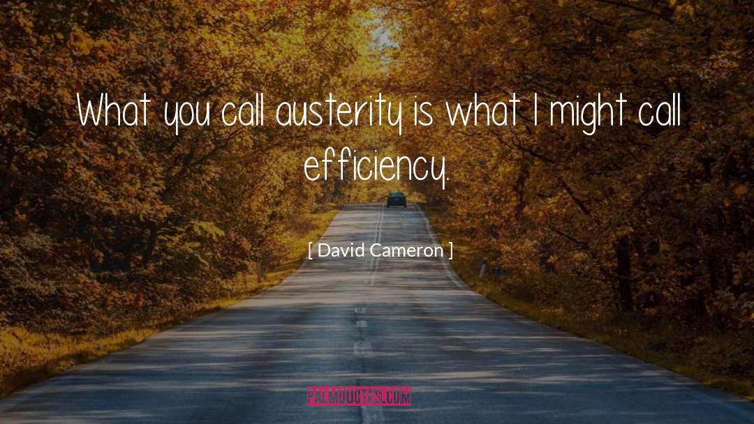 Austerity Cabernet quotes by David Cameron