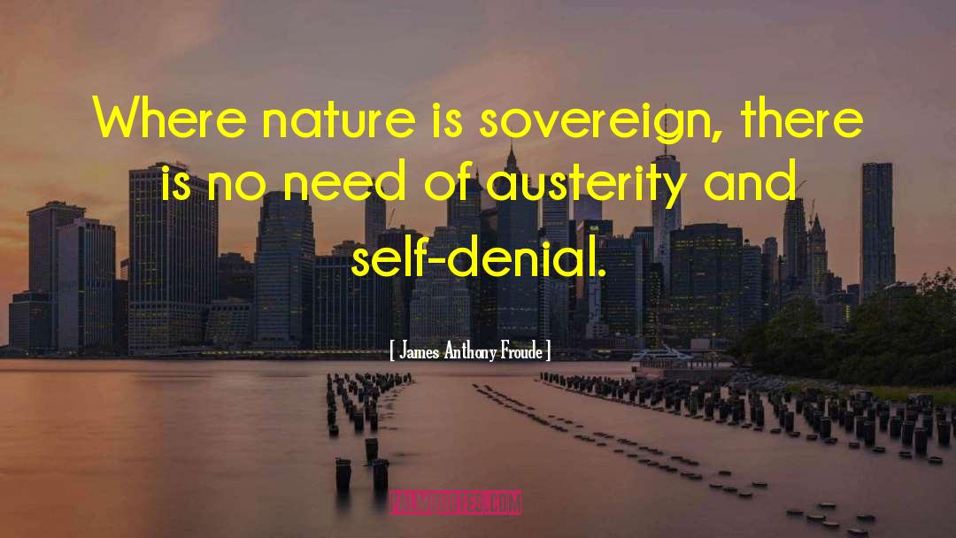 Austerity Cabernet quotes by James Anthony Froude