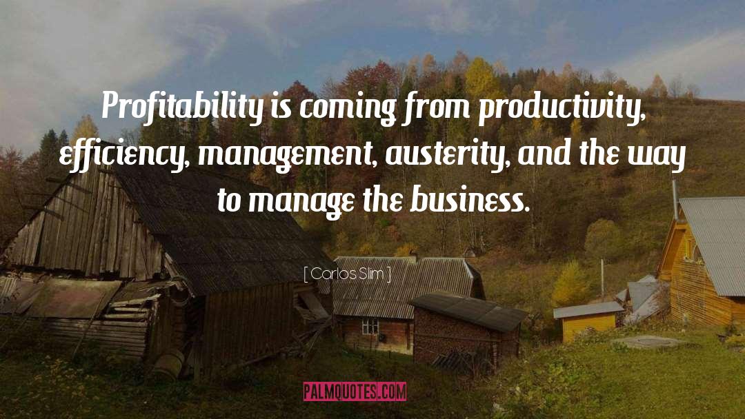 Austerity quotes by Carlos Slim