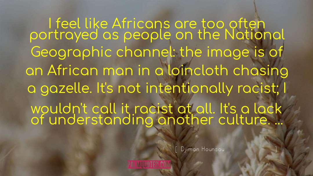 Australian Racist Culture quotes by Djimon Hounsou