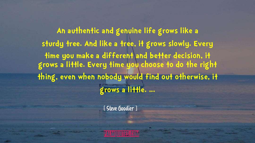 Authentic Path quotes by Steve Goodier