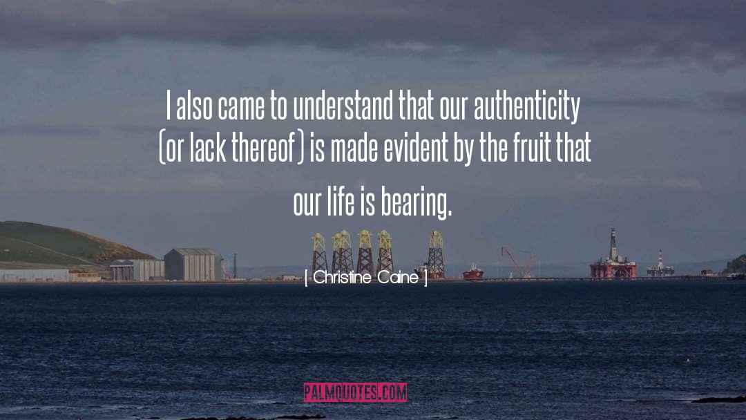 Authenticity quotes by Christine Caine
