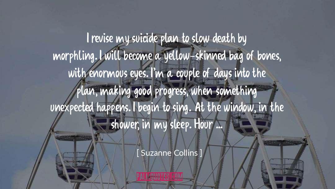 Author Notes quotes by Suzanne Collins