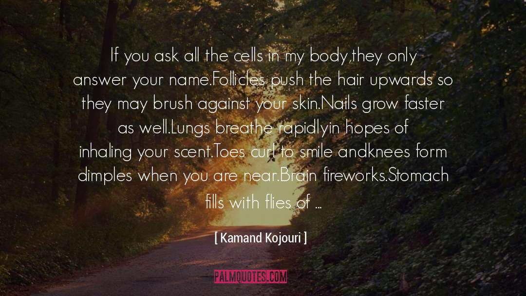 Author Of Soul Skin Sacred Space quotes by Kamand Kojouri