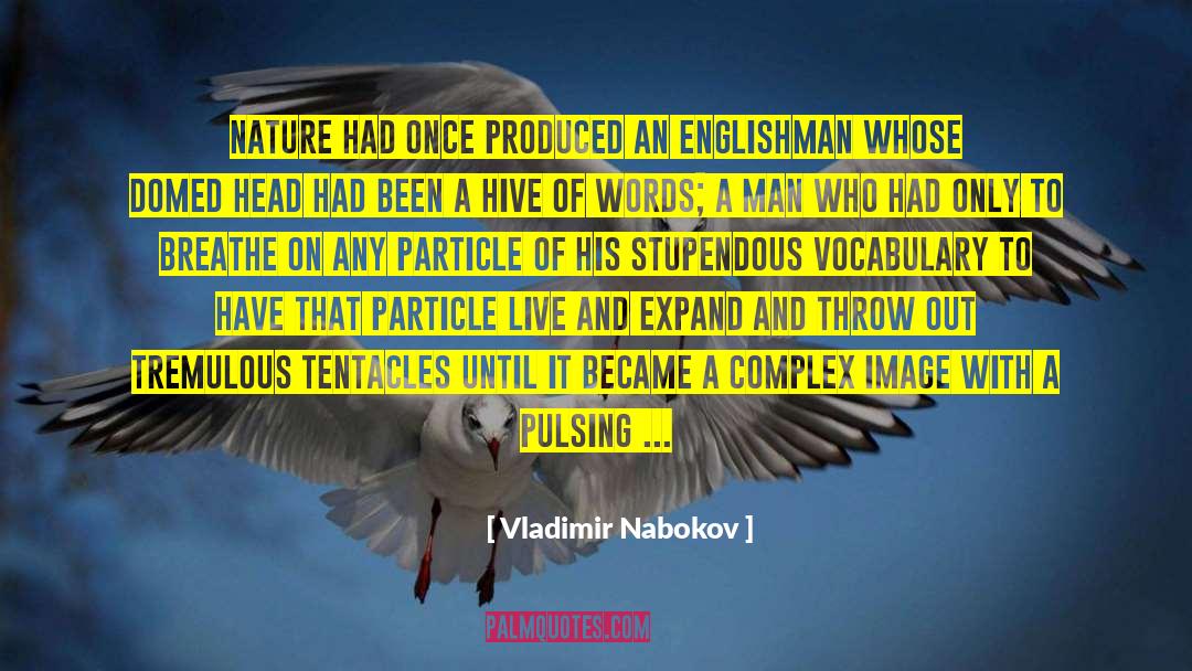 Author Of The Starcrafters Saga quotes by Vladimir Nabokov