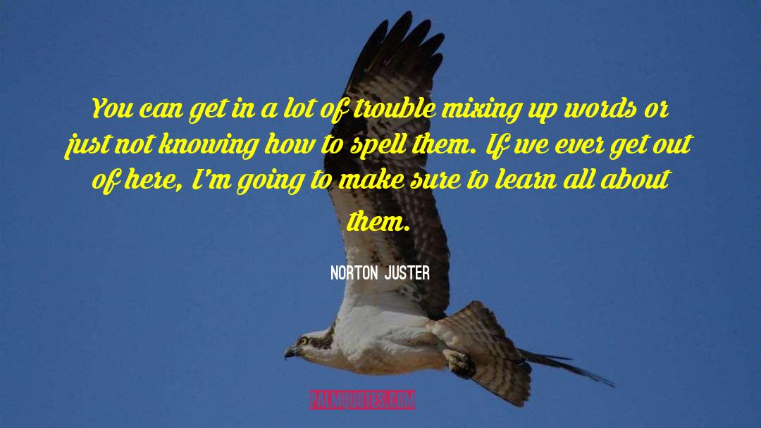 Author S Words quotes by Norton Juster