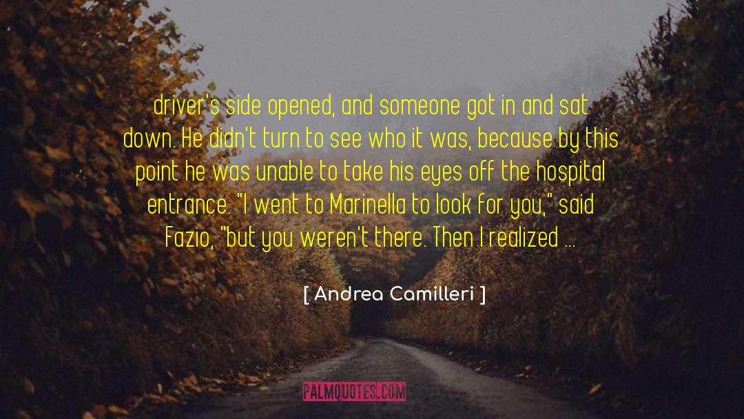 Author Writer quotes by Andrea Camilleri