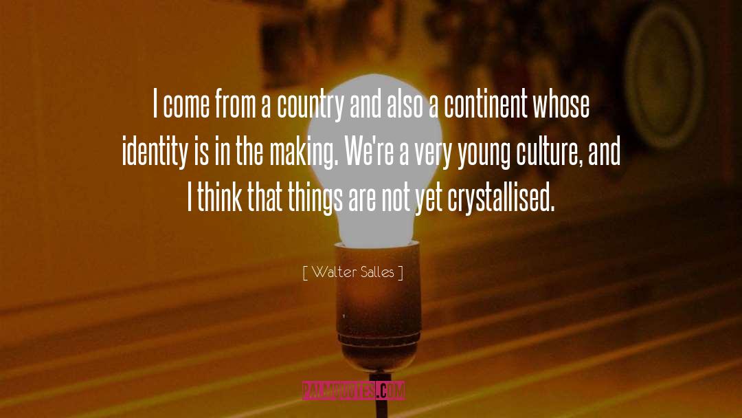 Authorial Identity quotes by Walter Salles