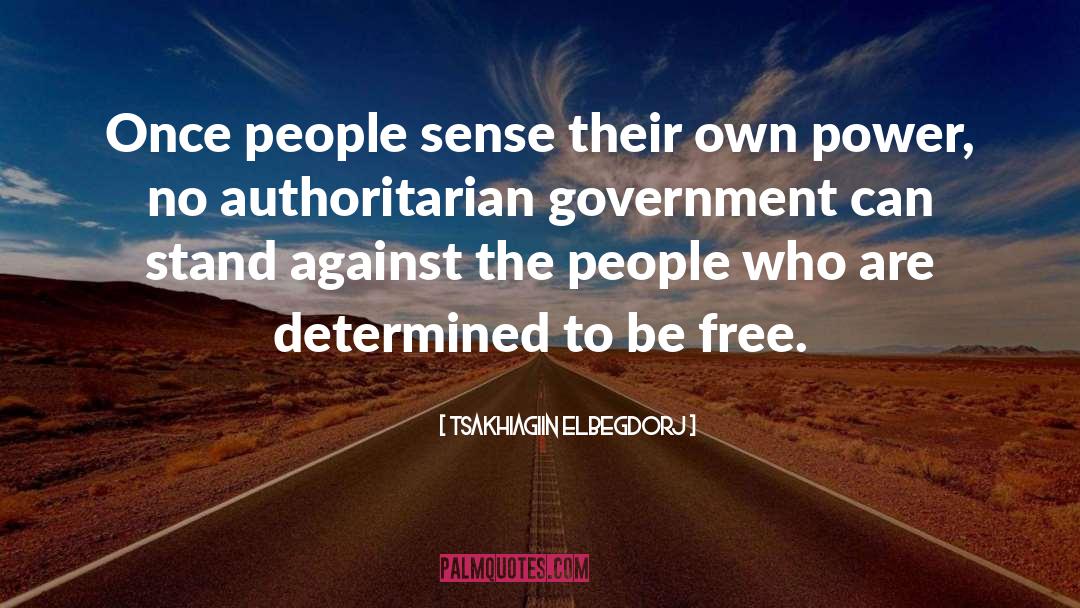 Authoritarian Government quotes by Tsakhiagiin Elbegdorj