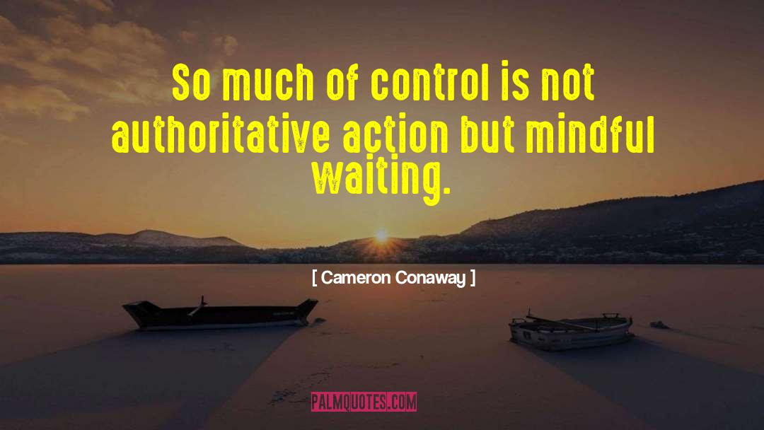 Authoritative quotes by Cameron Conaway