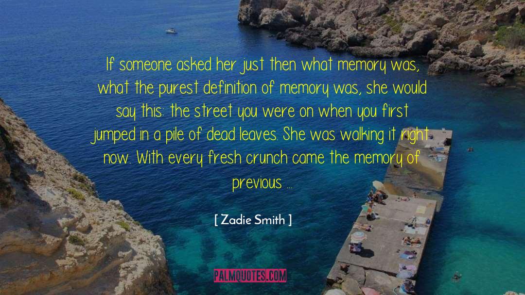 Autobiographical Memory quotes by Zadie Smith
