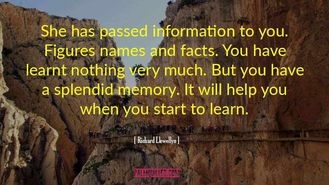 Autobiographical Memory quotes by Richard Llewellyn