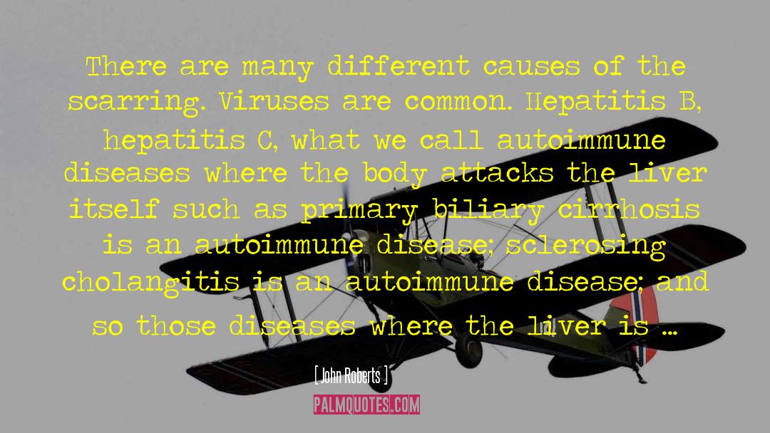 Autoimmune Disease quotes by John Roberts