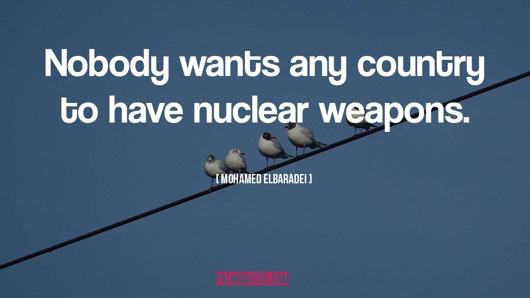 Automatic Weapons quotes by Mohamed ElBaradei