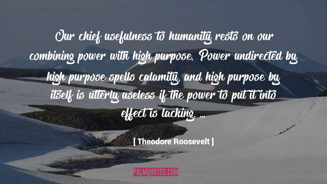 Autonomy Usefulness quotes by Theodore Roosevelt