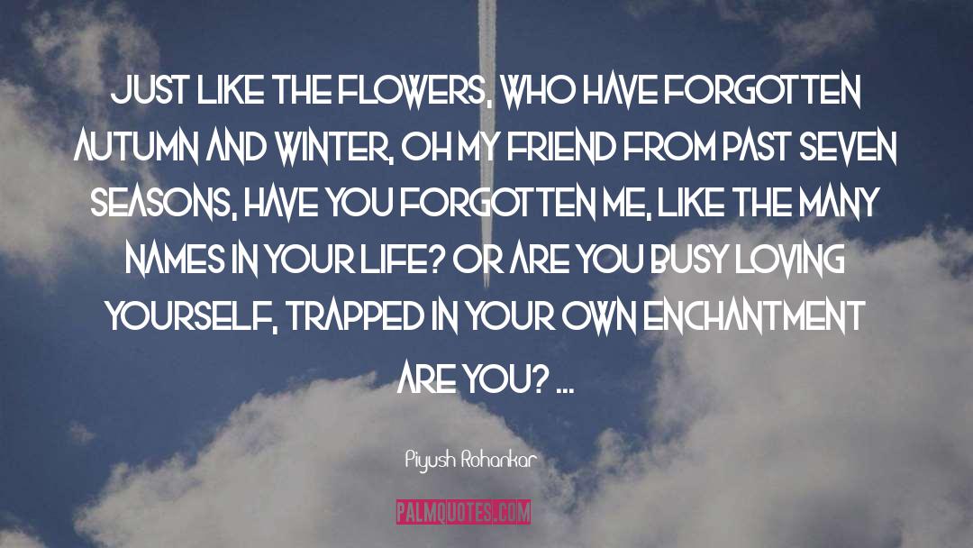 Autumn And Winter quotes by Piyush Rohankar