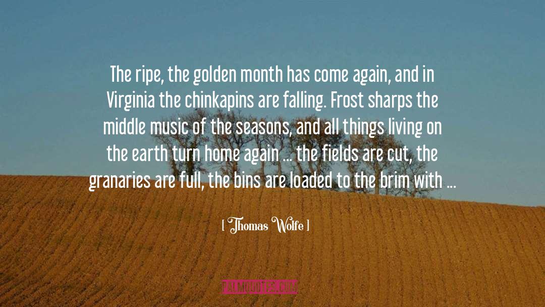 Autumn Equinox quotes by Thomas Wolfe