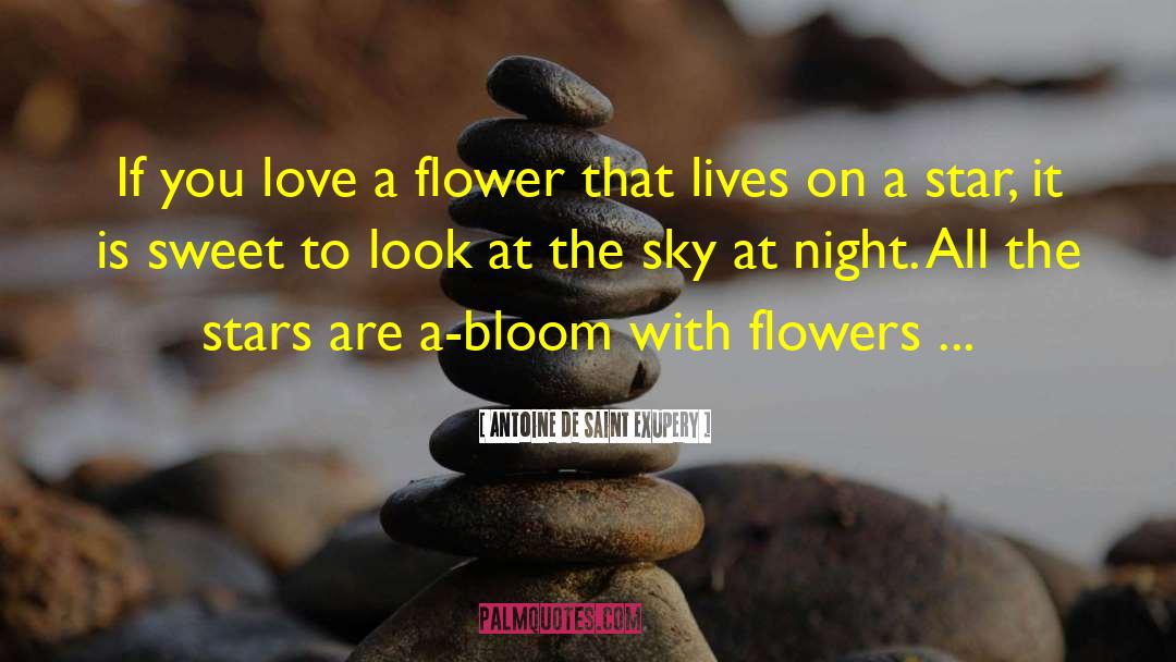 Autumn Love quotes by Antoine De Saint Exupery